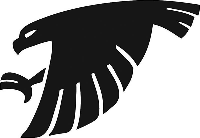 Sauk Valley Community College Skyhawks logo