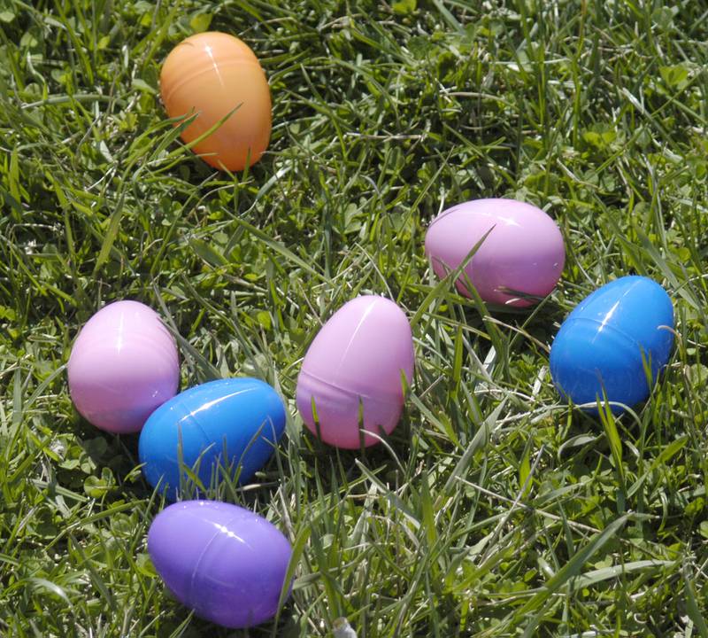 The Eggstravaganza Egg Hunt, sponsored by the Dixon Park District,  took place at the park facilities on Saturday, April 12, 2025.