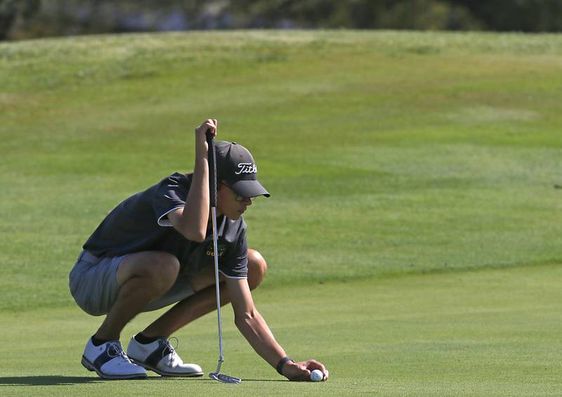 Crystal Lake South’s Jack Wilcox lines up a putt on 9th green during the Fox Valley Conference Boys Golf Tournament Wednesday, Sept. 25, 2024, at RedTail Golf Club in Lakewood.