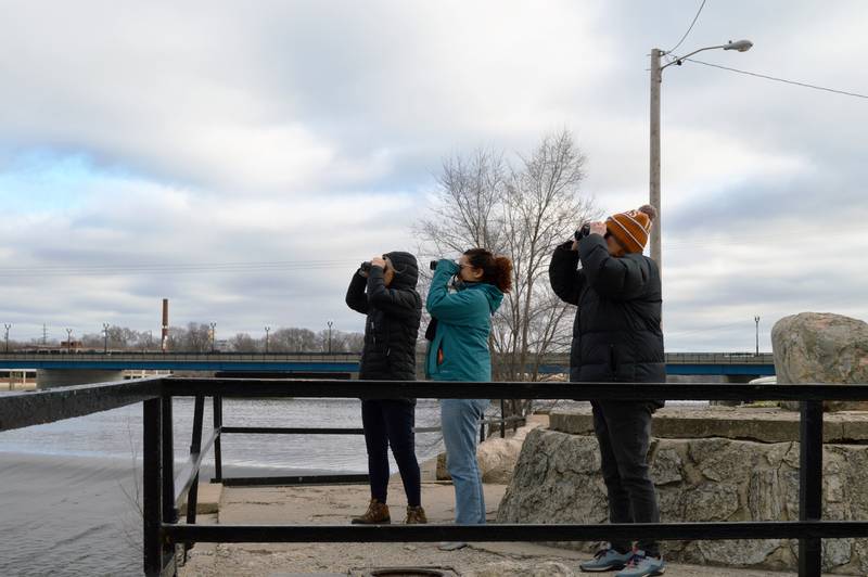 Barbara Caspersen, of Willmette, (left); Kaila Hernandez, of Chicago, (center); and Laura DiMeo, of Wilmette, watch as an eagle flies off over the Rock River in Rock Falls on Saturday, Feb. 10, 2024, during the fourth annual Flock to the Rock event.