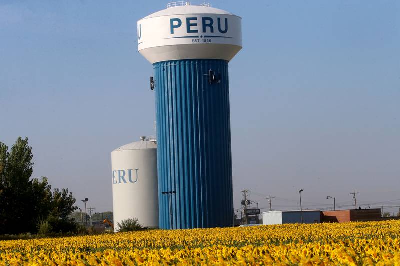 A large sunflower field is in full bloom on Wednesday, Sept. 17, 2025 underneath the Peru Water Tower.