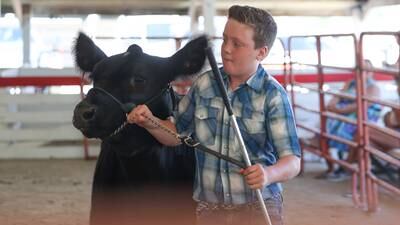 Photos: Grundy County 4-H Fair