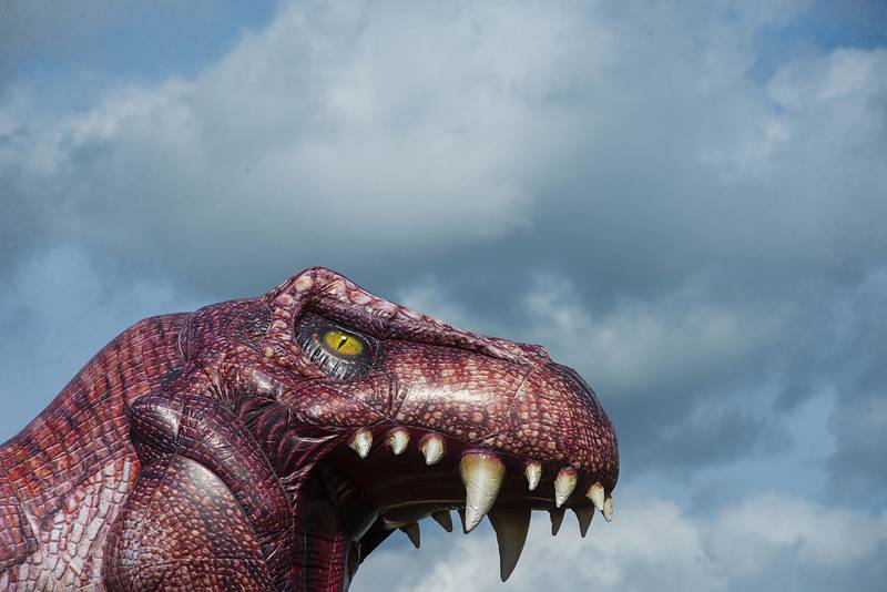 A fearsome dino inflatable lords over the midway Thursday, July 28, 2022 at the Lee County 4H fair.