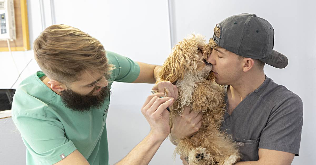 Welcome to The Pup House: New dog grooming parlor opens in Dixon – Shaw ...