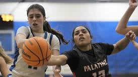 Big fourth quarter sends Wheaton North past Palatine in Neibch tournament opener