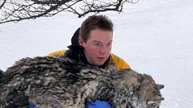 Listen: Kane County’s 5 most-read stories this week: Dec. 14-20