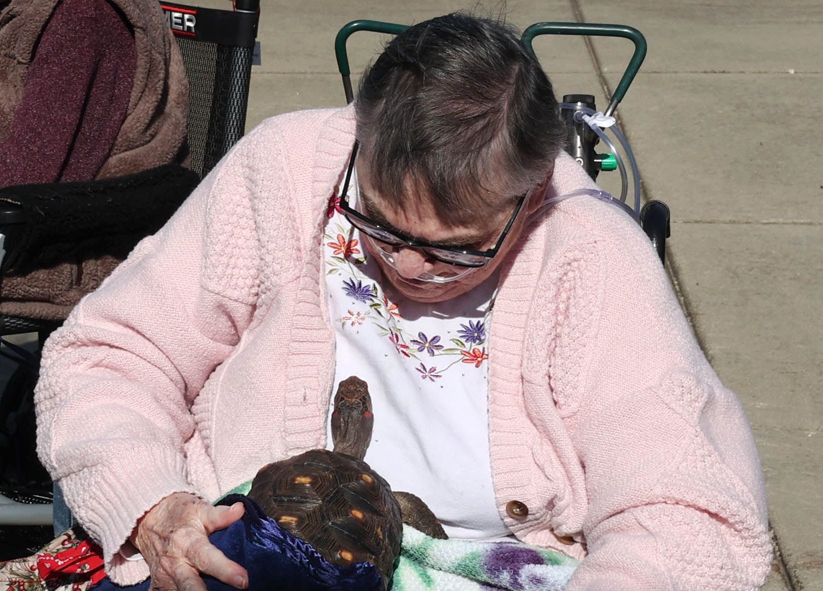A DeKalb County Rehab and Nursing Center resident spends time with a tortoise during a visit from Kate’s Kritters Mobile Petting Zoo Thursday, Sept. 18, 2025, at the facility in DeKalb.