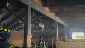 Horses spared in barn fire near Woodstock