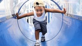 DeKalb Park District nets $507K in state grant funding for Hopkins Park playground replacement