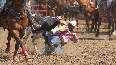 5 Things to Do in Will County: Will County Fair; Wine, Jazz & Arts Fest in Joliet