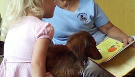 Yorkville Public Library youth programs feature LEGO days, Read with Paws and more