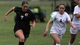 Photos: Prairie Ridge vs. Crystal Lake South, Class 2A Crystal Lake Central Regional semifinal