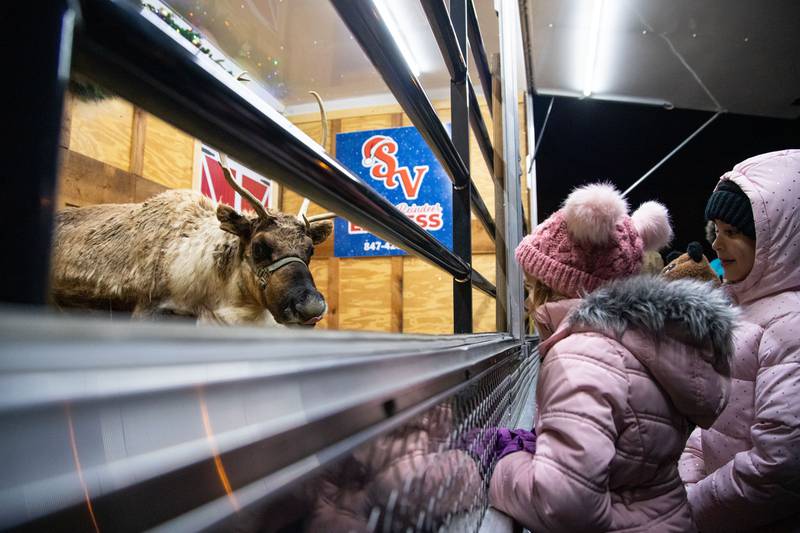 Kids look at Reindeer during the Celebration of Lights at the Batavia Riverwalk on Sunday, Dec. 1, 2024.