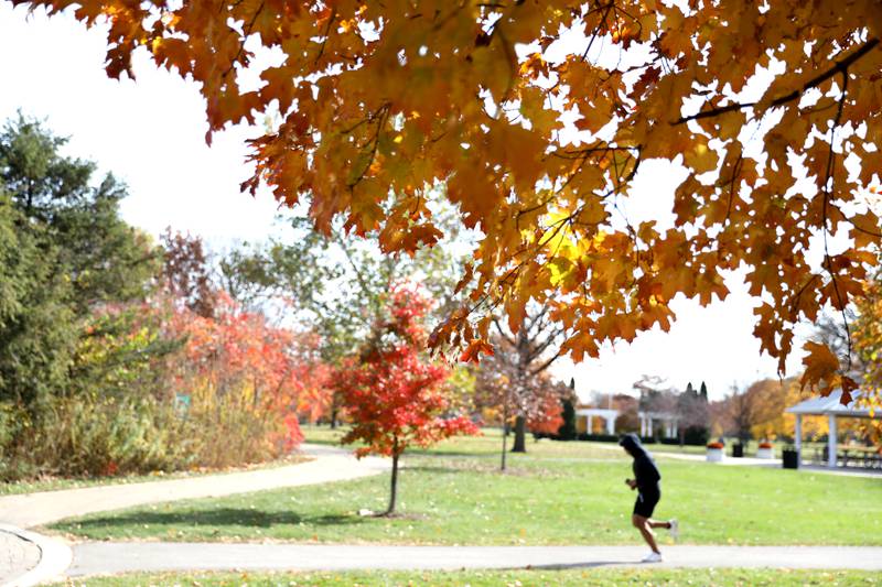Fall colors at Mount Saint Mary Park in St. Charles.