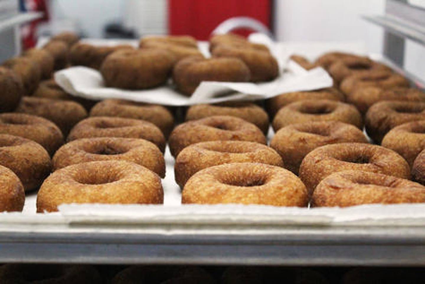 Apple cider doughnuts made fresh at Dittmar Farms in Jo Daviess County.