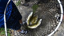 Kankakee River Fishing Derby begins Friday
