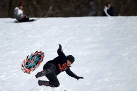 Photos: Sledding at Fabyan Forest Preserve