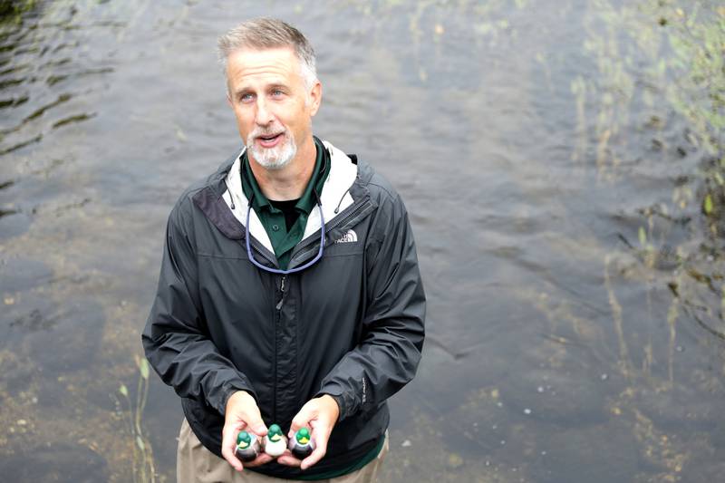 Forest Preserve District of DuPage County Director of Natural Resources Erik Neidy shows the top three winning ducks that raced down a restored stretch of Spring Brook at St. James Farm Forest Preserve in Warrenville on Thursday, Sept. 7, 2023 during the Friends of the Forest Preserve District of DuPage County’s rubber duck race fundraiser.