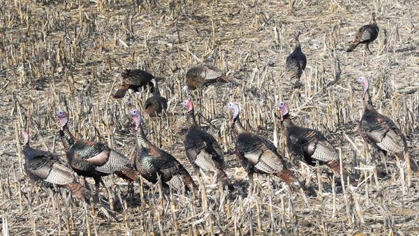 Measure led by State Sen. Joyce that expands hunting permits to landowners signed into law