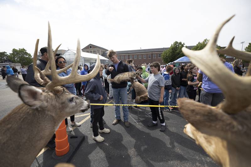 Sterling FFA student Landon Kukowski displays a stuffed badger Thursday, May 7, 2026, during Sterling High School’s Farmapalooza. The FFA-sponsored event brings in students and members of the public to introduce Sterling’s grade school students to agriculture life.