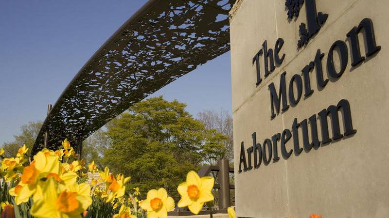 5 Things to Do: New Philharmonic in concert, Discovery Day at Morton Arboretum and more this weekend