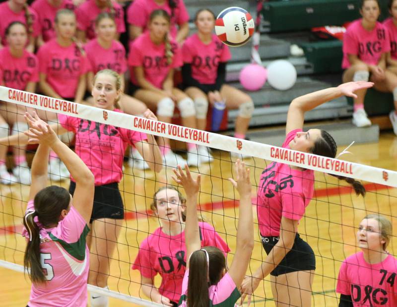 L-P's Anna Riva hits the ball to the St. Bede side of the net during the "Cavs 4 A Cause" pink night game on Tuesday, Sept. 26, 2023 at Sellett Gymnasium.