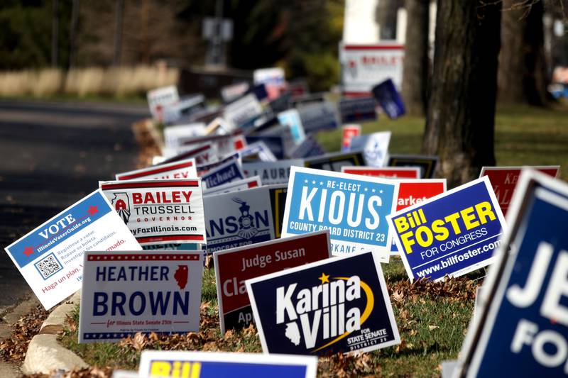 Election signs line the parkway outside the Kane County Clerk office and polling place in Geneva for the General Election on Tuesday, Nov. 8, 2022.