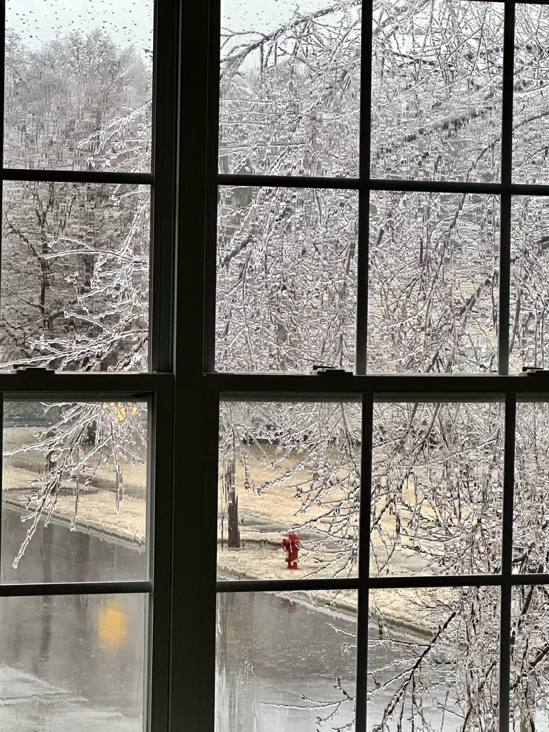 Northwest Herald reader Jennifer Higa took this photo Wednesday, Feb. 22, 2023, while "staying in" at her Algonquin home during the ice storm.