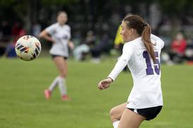 Dixon’s Jenna Harrison scores four goals in postseason win: Tuesday’s Sauk Valley roundup 