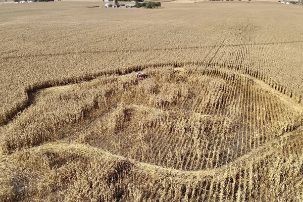 Firefighters battle blaze in a corn field near IL Route 47 in Yorkville