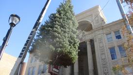Joliet family donates tree that becomes part of city’s holiday history