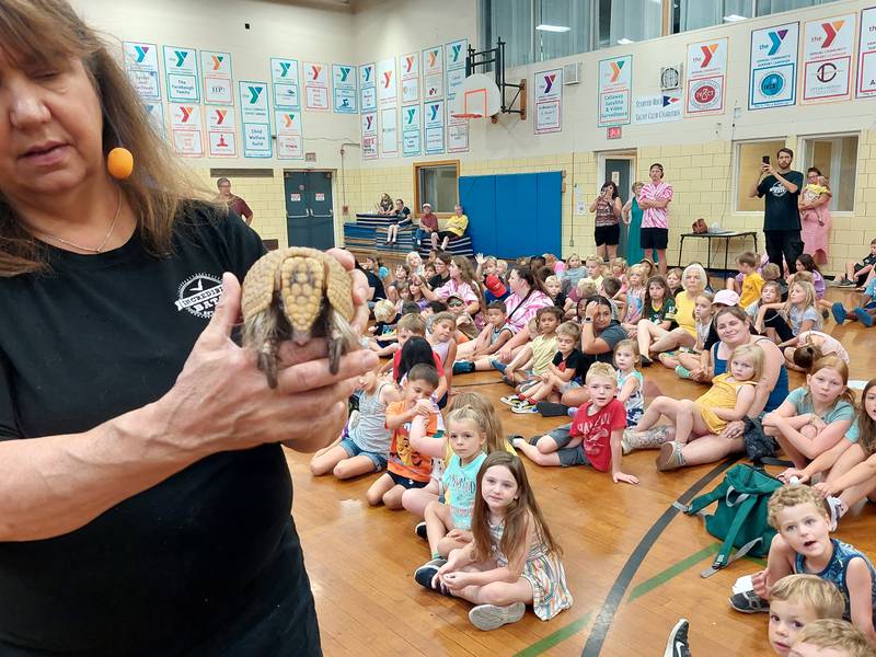 Children get an up-close look at Armando, the la plata three-banded armadillo, on Thursday, July 27, 2023, during the Incredible Bats program at the Ottawa YMCA.