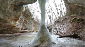 5 Things to Do: Take a First Day Hike, Wildlife Trolley Tours, wedding expo and more