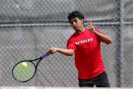 IHSA sectional assignments for McHenry County boys tennis teams