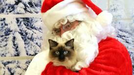 Pick up a good book, take a photo with Santa