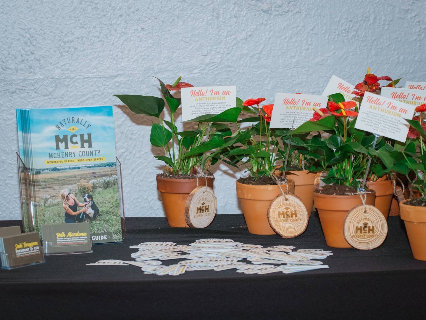 An all-new visitor guide and potted anthuriums are available for guests celebrating the launch of Naturally McHenry County, a rebranding of Visit McHenry County, on Thursday, March 3, 2022, at the Dole in Crystal Lake.