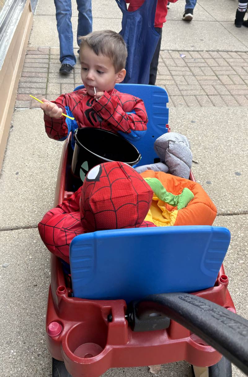 Anthony Linardos, 2, and Billy Linardos, 1, of Crystal Lake go trick or treating during Halloween on the Square in Woodstock Oct. 31, 2025.