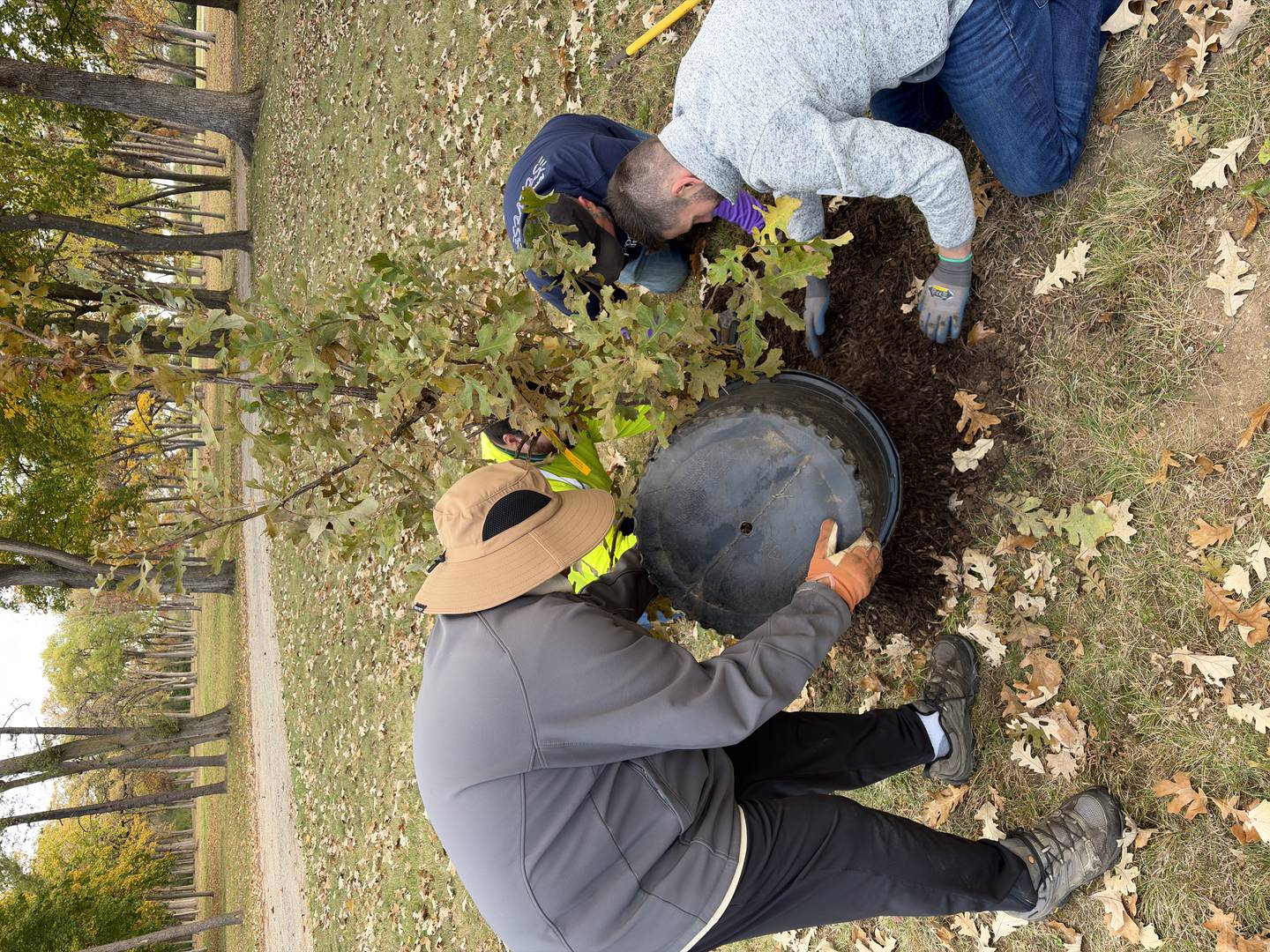Volunteers put mulch around one of the trees that was planted. As part of its Season of Purpose during which its teammates are engaging in community service activities, Advocate Health planted 75 trees at Advocate Good Shepherd Hospital in Barrington.