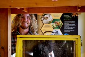 Wilmington resident named new beekeeper at Will County’s Plum Creek Nature Center