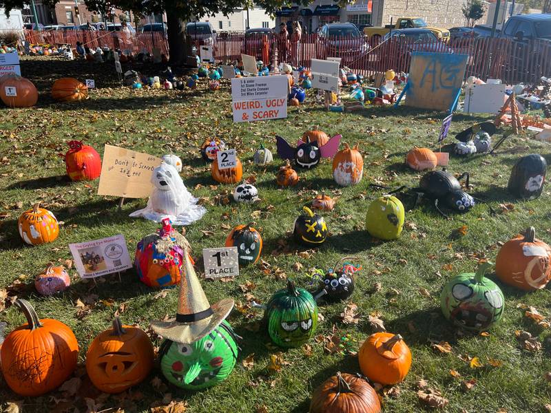 Some pumpkin decorators took the classic route, and sought to make their pumpkins spooky, as seen on Oct. 25, 2024 in the 5 and under weird, ugly and scary category of the 2024 Sycamore Pumpkin Festival pumpkin decoration contest.