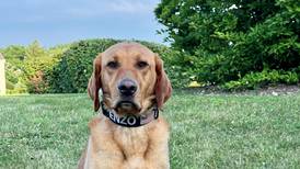 Lake County Sheriff’s K-9 Enzo to get body armor