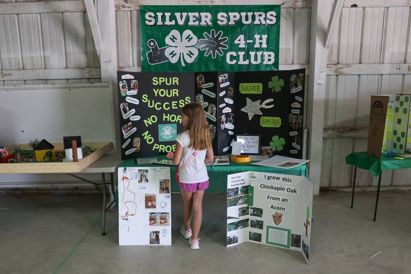 A girl checks out the Silver Spurs 4-H Club recruitment display at the Grundy County 4-H Fair on Sunday, July 30 in Morris.