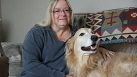 Minooka woman raising money for her young dog’s surgery