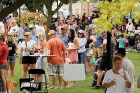 5 Things to Do: Outdoor movie, concerts and a big festival in Kendall County this weekend 