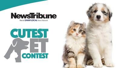 NewsTribune’s Cutest Pet Contest