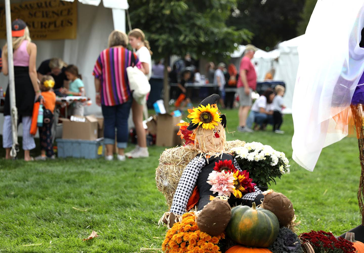 Scarecrows on display on Friday, Oct. 11, 2024 during Scarecrow Weekend in downtown St. Charles.