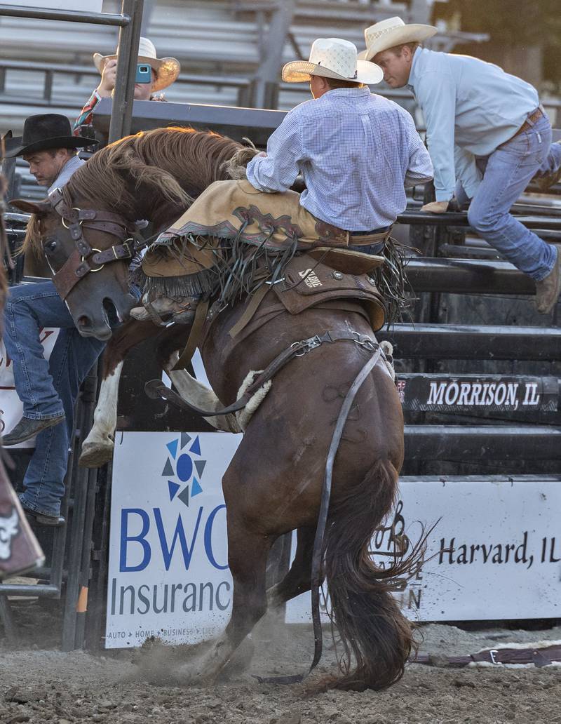 Kenneth Glick holds on as his bronco goes end side up Wednesday, August 13, 2025, at the Whiteside County Fair during the Next Level Pro Bronc rodeo.