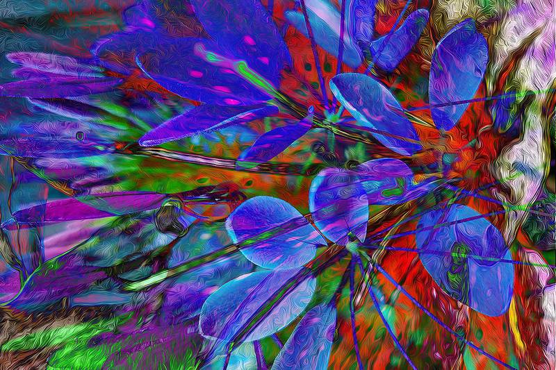 Batavia artist and photographer Hans Kaiser's work will be on display at the St. Charles Public Library through October, 2024.