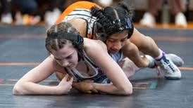 The Herald-News area girls state wrestling preview