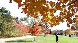 Fall outdoor activities with Kane County Forest Preserve